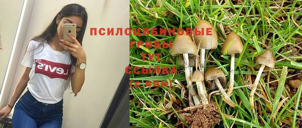 mdma Корсаков