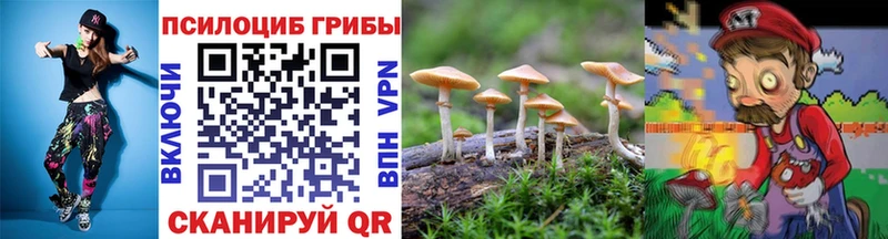 сколько стоит  KRAKEN маркетплейс  Галлюциногенные грибы Psilocybe  Москва 